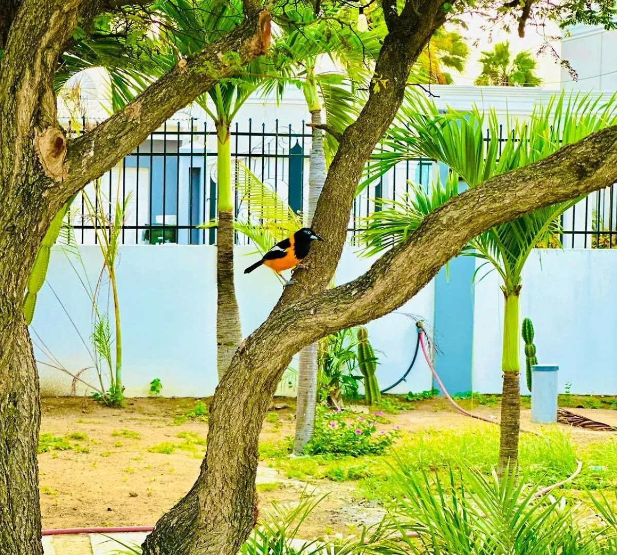 Eagle Stays Aruba-New Luxury, Cozy & Spacious Studio Near Eagle Beach! Oranjestad 0*,