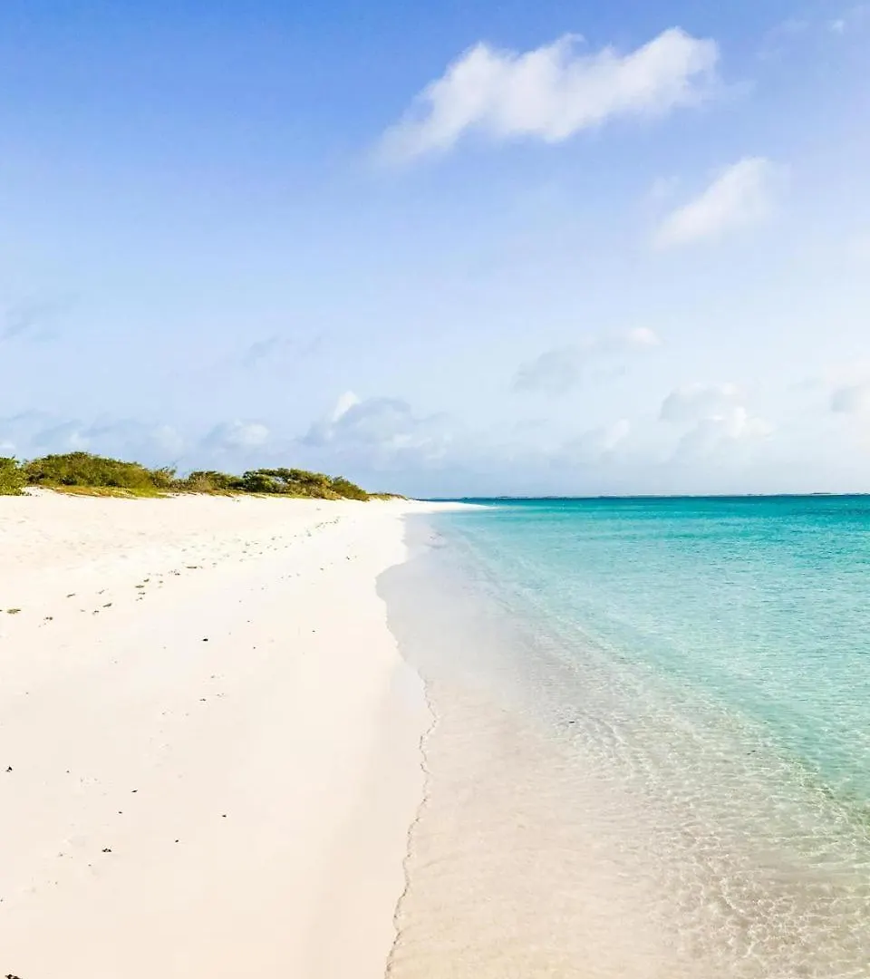 Eagle Stays Aruba-New Luxury, Cozy & Spacious Studio Near Eagle Beach! Oranjestad Appartement