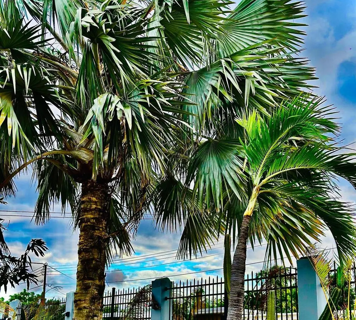 Lejlighed Eagle Stays Aruba-New Luxury, Cozy & Spacious Studio Near Eagle Beach! Oranjestad