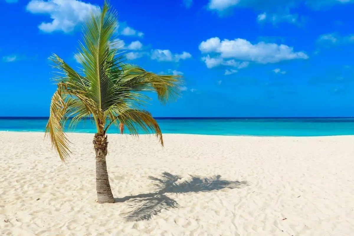 Lejlighed Eagle Stays Aruba-New Luxury, Cozy & Spacious Studio Near Eagle Beach! Oranjestad Aruba